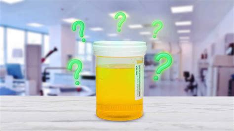 how to use fake urine while being watched|direct observation drug test hide urine.